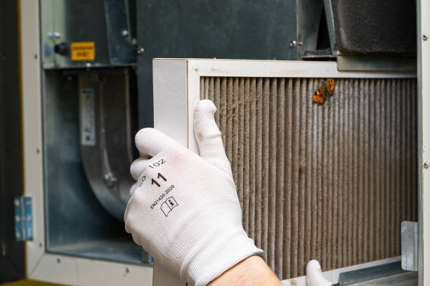 Best Air Duct Cleaning Near Me  in Albany, KY