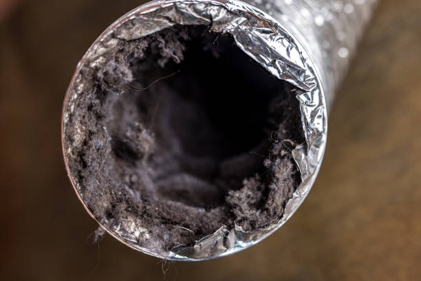 Best Affordable Air Duct Cleaning  in Albany, KY