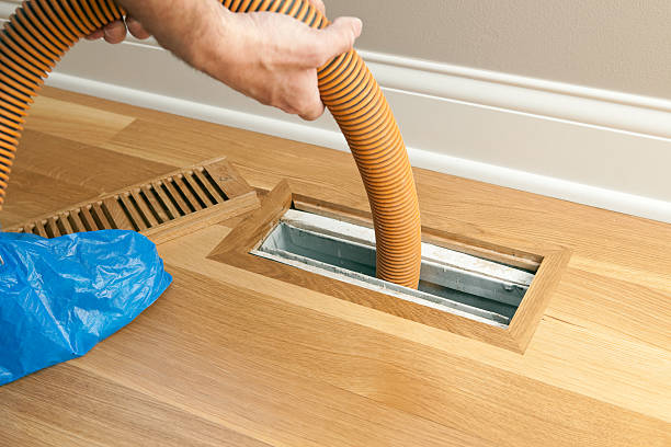 Best Air Duct Cleaning Company Near Me  in Albany, KY